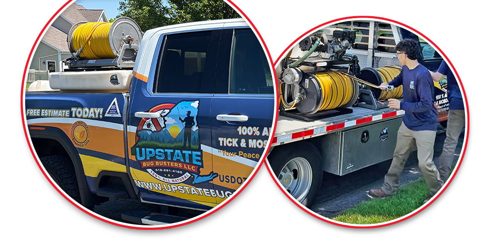 upstate bug busters